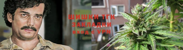 ГАЛЛЮЦИНОГЕННЫЕ ГРИБЫ Армянск