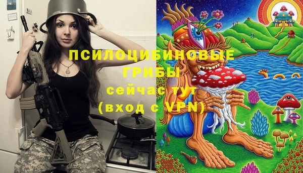 МДМА Арсеньев