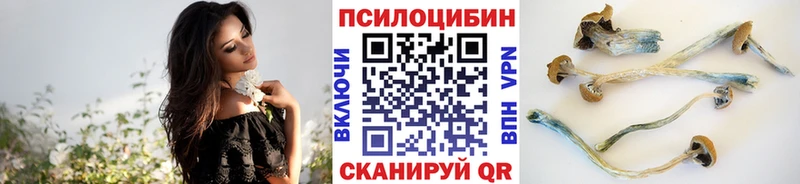 Псилоцибиновые грибы мицелий  что такое наркотик  гидра tor  Билибино 